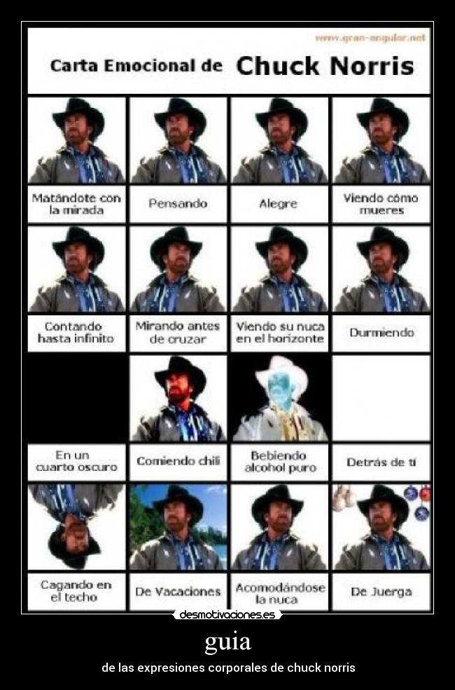 guia - de las expresiones corporales de chuck norris