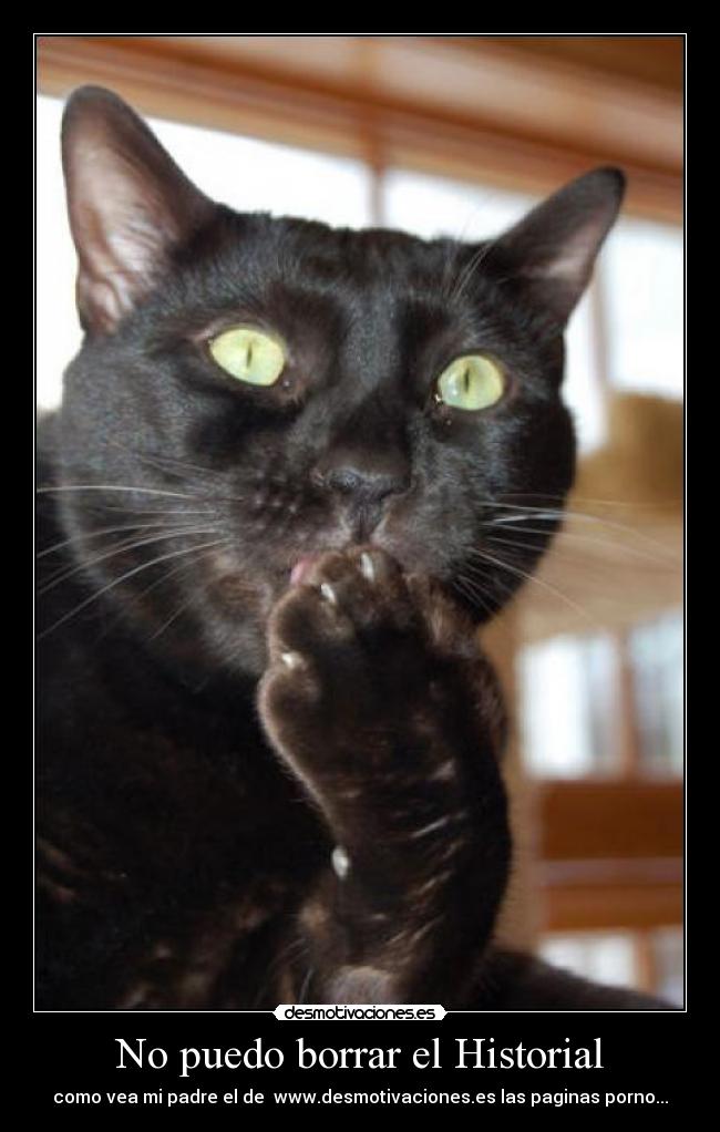 No puedo borrar el Historial -