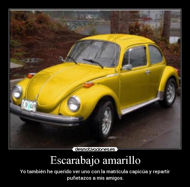 Escarabajo amarillo - Yo también he querido ver uno con la matrícula capicúa y repartir
puñetazos a mis amigos.