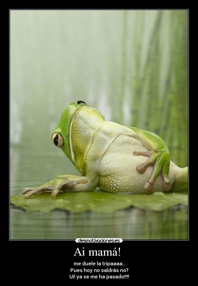 Ai mamá! - me duele la tripaaaa..
Pues hoy no saldrás no?
Ui! ya se me ha pasado!!!!