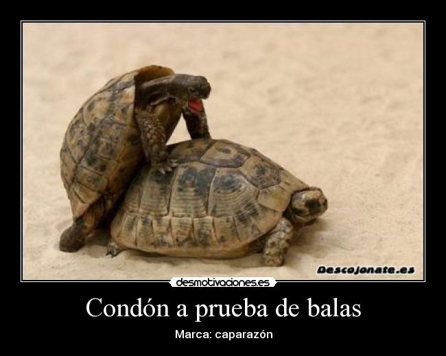 Condón a prueba de balas -