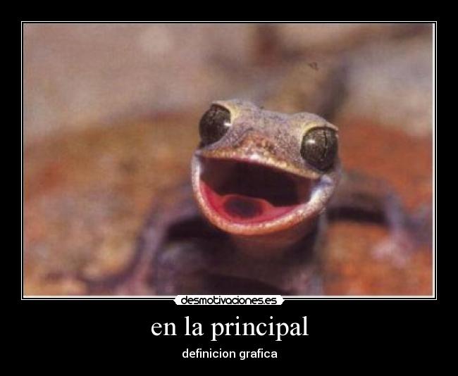 en la principal - definicion grafica