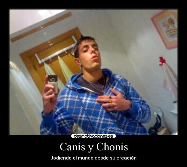 Canis y Chonis -