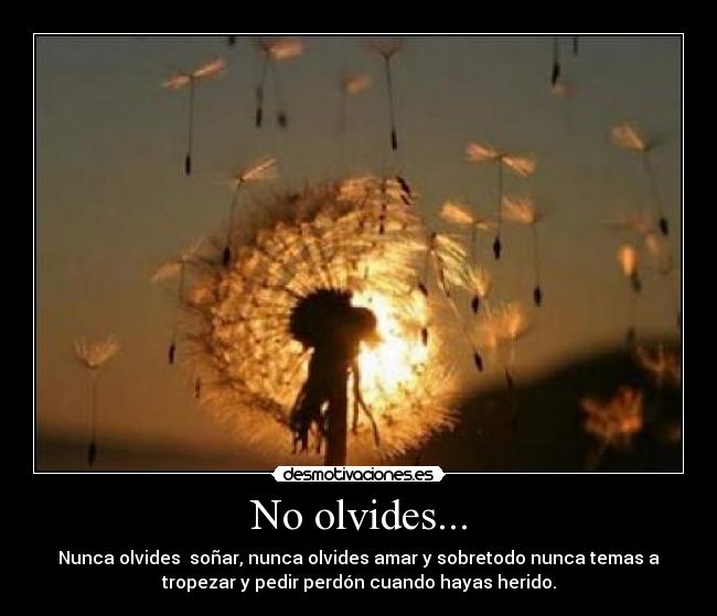 No olvides... - 