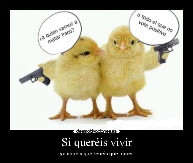 carteles matar pollos elmigle1 desmotivaciones