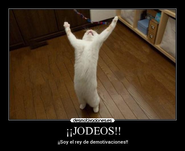 ¡¡JODEOS!! - ¡¡Soy el rey de demotivaciones!!