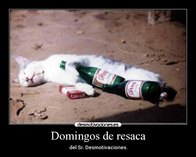Domingos de resaca - 