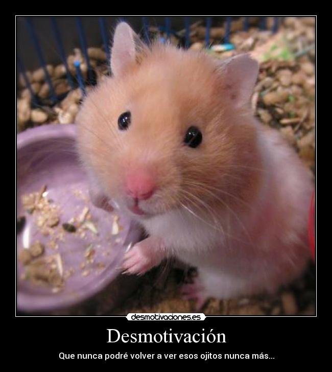 Desmotivación - 