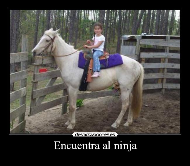 Encuentra al ninja -