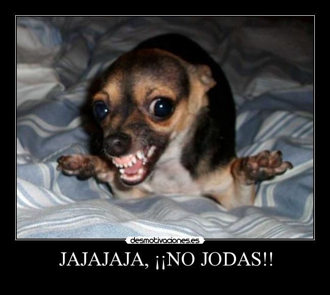 JAJAJAJA, ¡¡NO JODAS!! - 