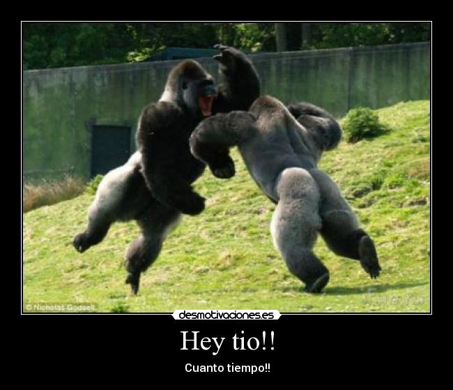 Hey tio!! - Cuanto tiempo!!