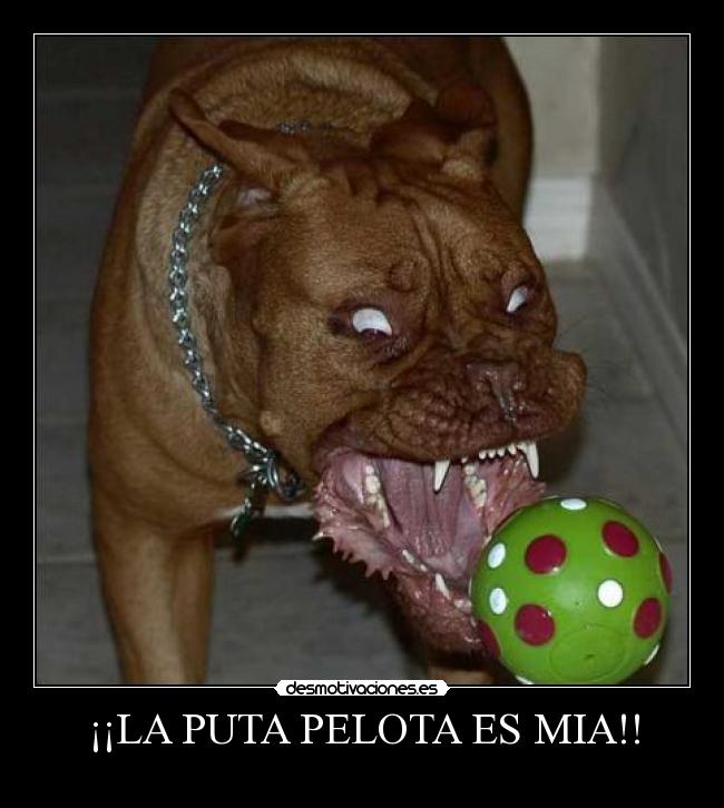 ¡¡LA PUTA PELOTA ES MIA!! -