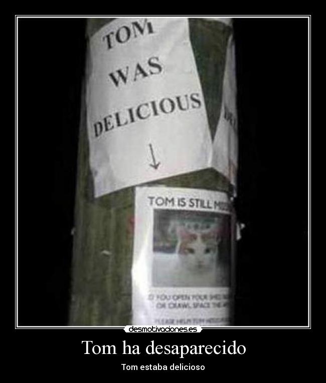 Tom ha desaparecido -