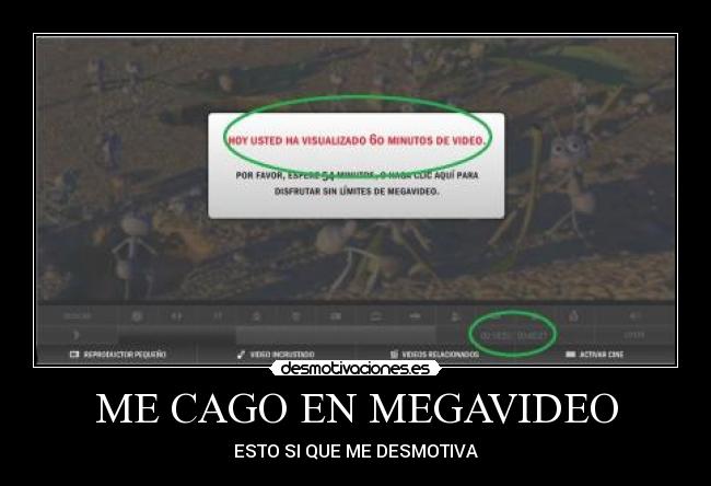 ME CAGO EN MEGAVIDEO -