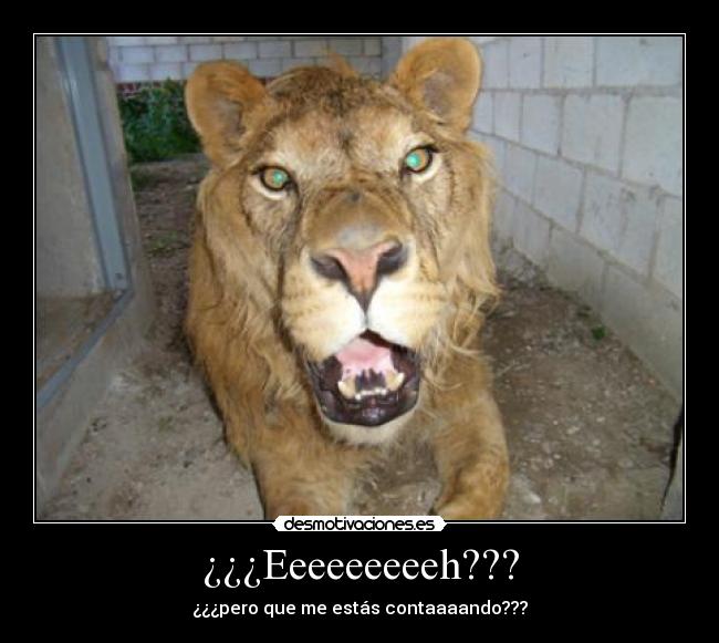 ¿¿¿Eeeeeeeeeh??? - 