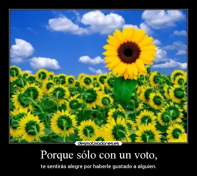 Porque sólo con un voto, - te sentirás alegre por haberle gustado a alguien.