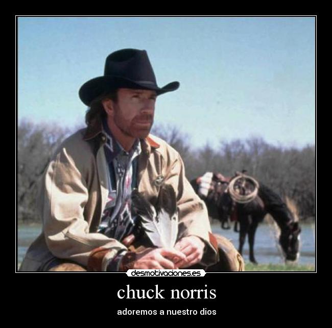chuck norris -
