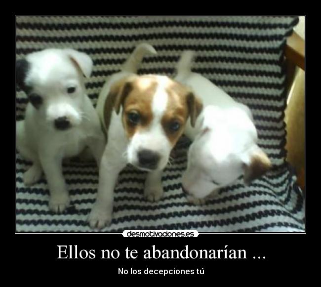 Ellos no te abandonarían ... - No los decepciones tú