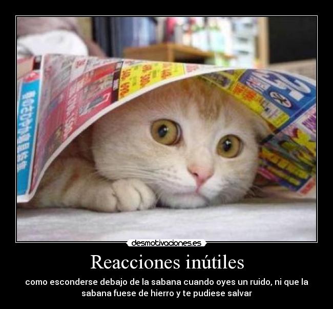 carteles verdaad desmotivaciones