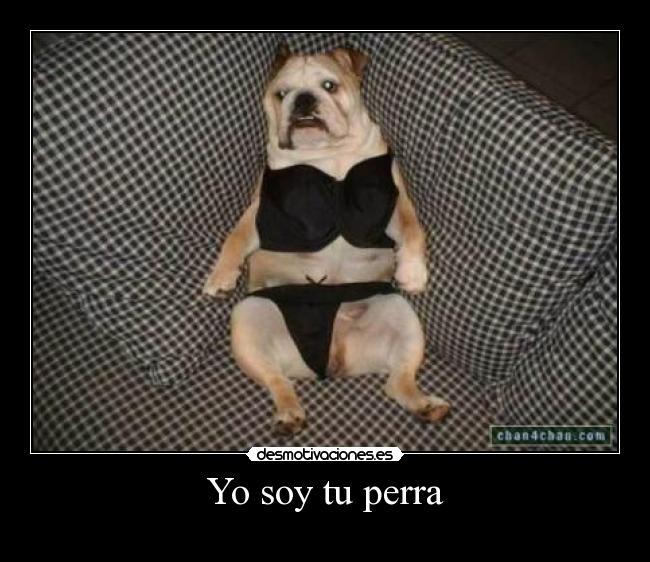 Yo soy tu perra - 