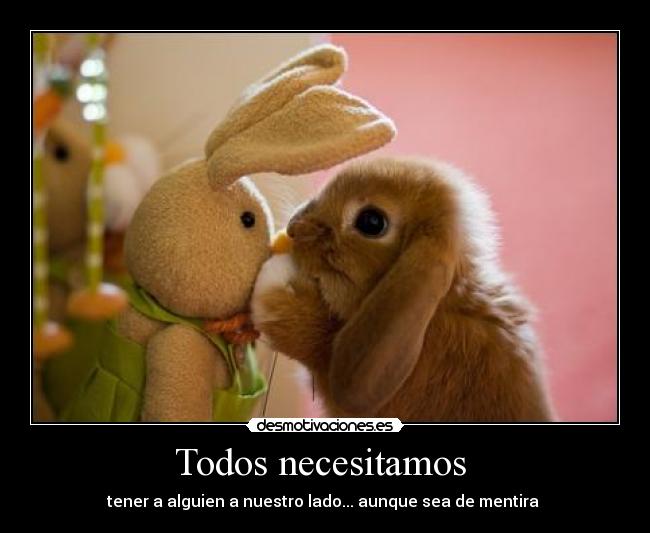 carteles peluche desmotivaciones