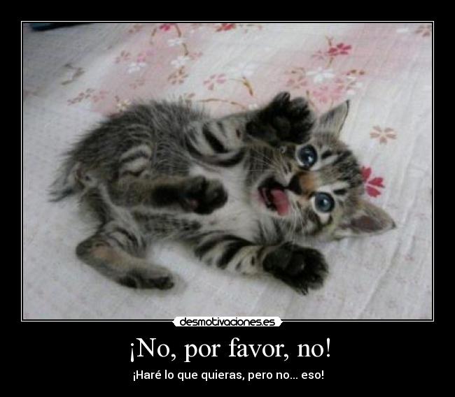 ¡No, por favor, no! - ¡Haré lo que quieras, pero no... eso!
