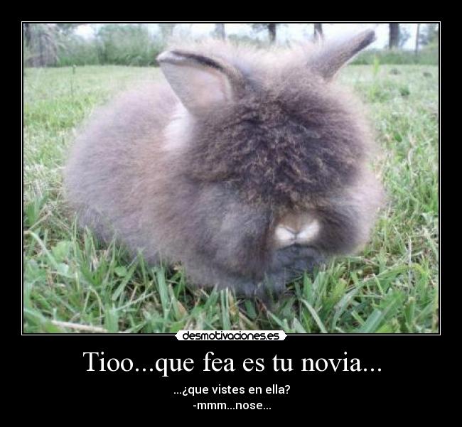 Tioo...que fea es tu novia... - ...¿que vistes en ella?
-mmm...nose...