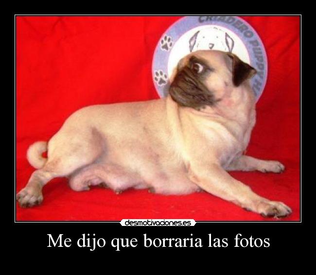 carteles enemigo sr motivaciones desmotivaciones