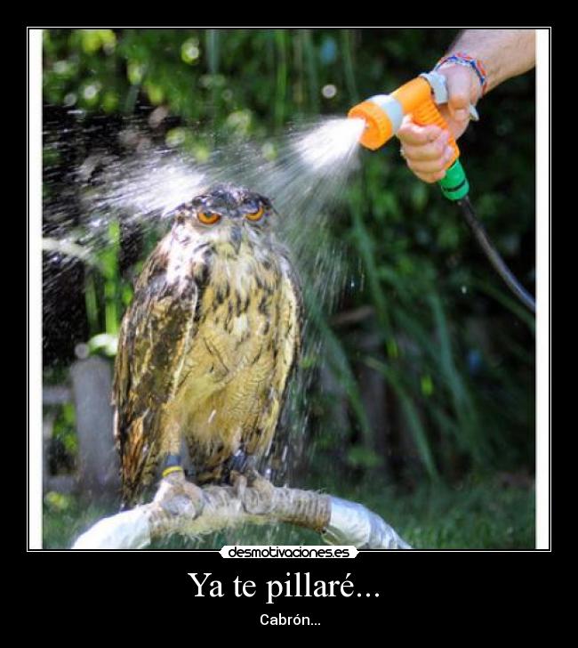Ya te pillaré... -