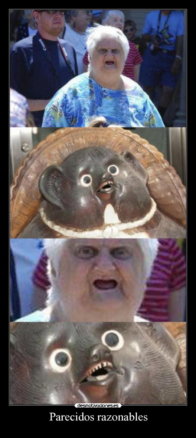 Parecidos razonables -