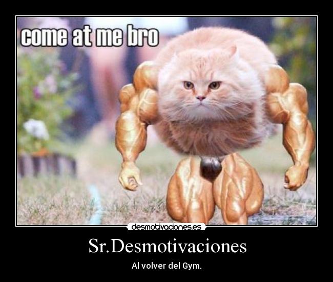 Sr.Desmotivaciones -