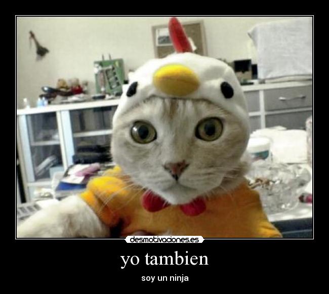 yo tambien - 