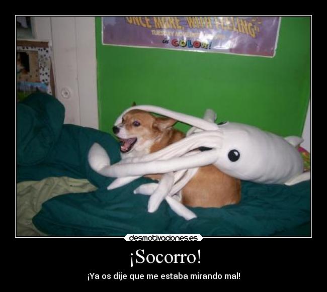 ¡Socorro! - ¡Ya os dije que me estaba mirando mal!