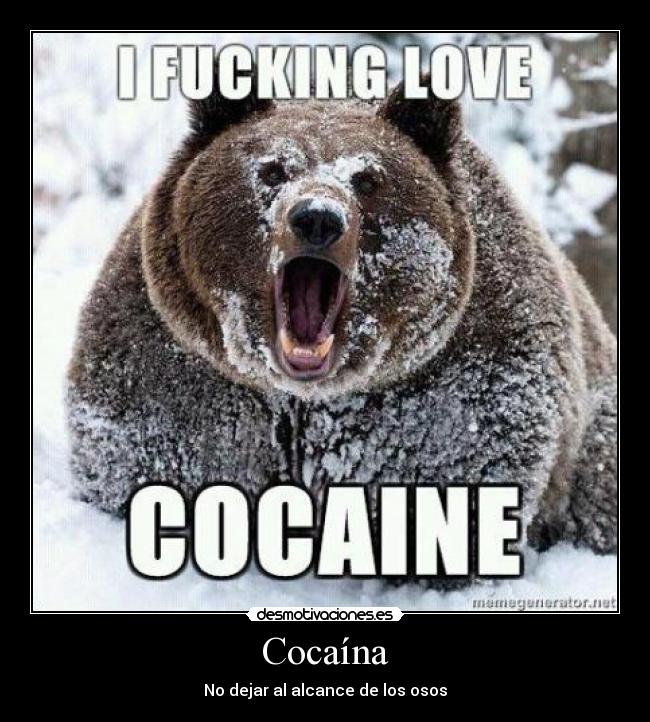 Cocaína - No dejar al alcance de los osos