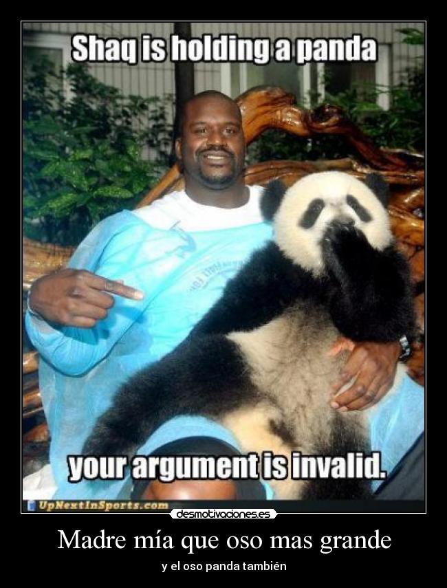 Madre mía que oso mas grande -