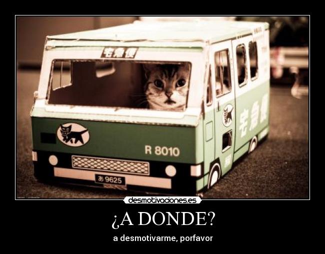 ¿A DONDE? - 