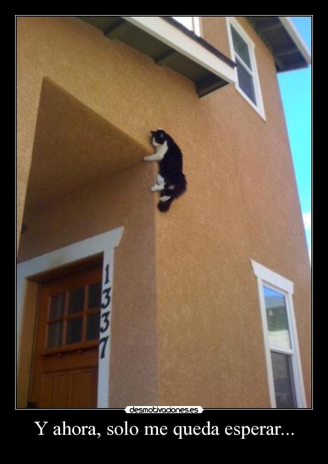 Y ahora, solo me queda esperar... -