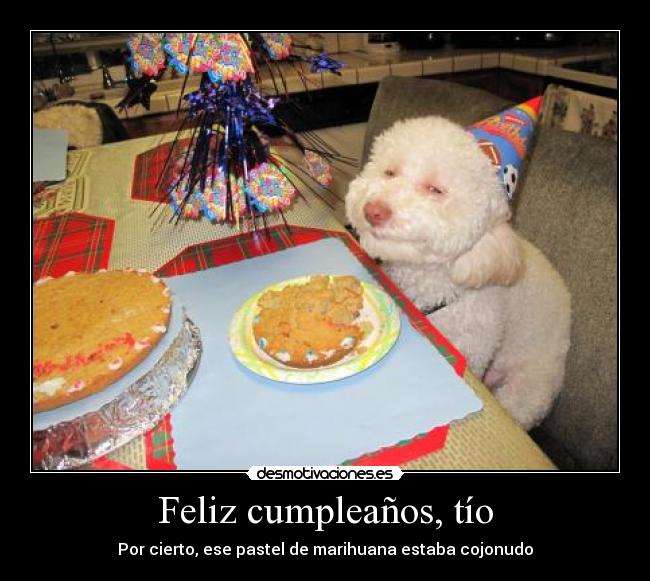 carteles feliz cumpleanos pastel marihuana cojonudo perro fumado tarta desmotivaciones