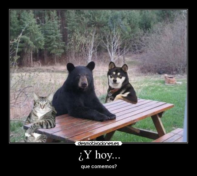 ¿Y hoy... - que comemos?