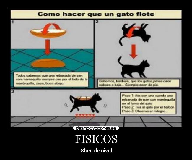 FISICOS - 