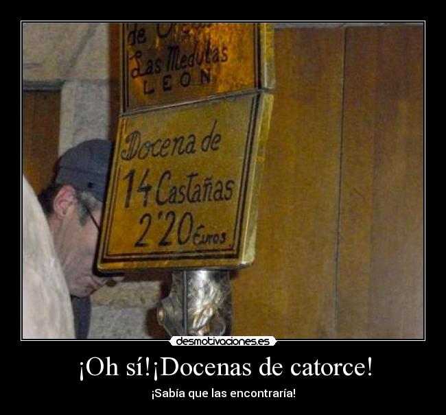 ¡Oh sí!¡Docenas de catorce! - 