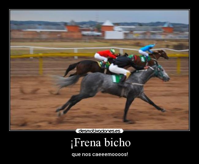 ¡Frena bicho - 