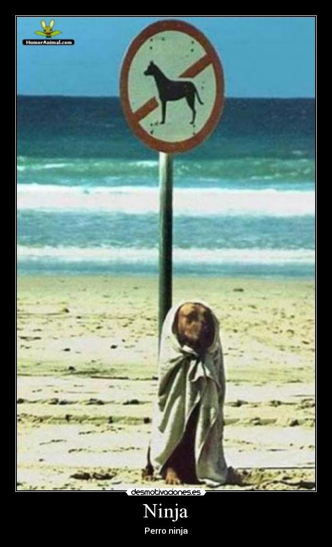 Ninja Desmotivaciones
