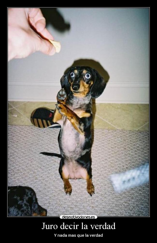 Juro decir la verdad - 
