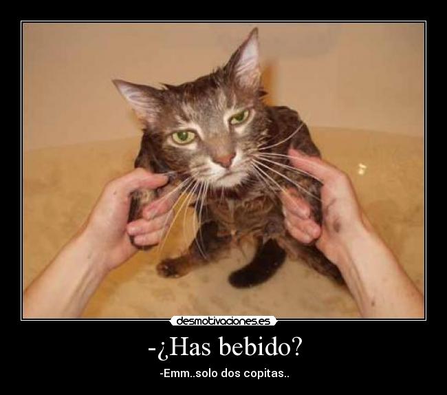 -¿Has bebido? -