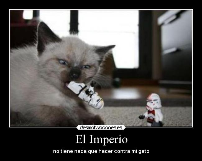 carteles imperio star wars clones gato desmotivaciones