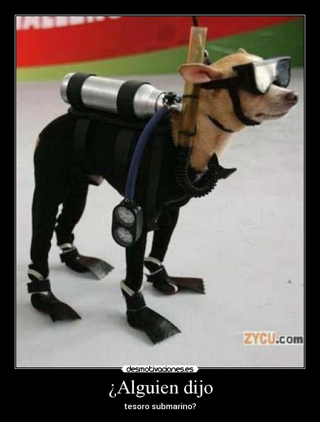 carteles perro desmotivaciones