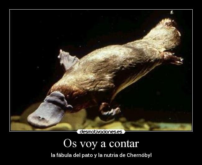 Os voy a contar -
