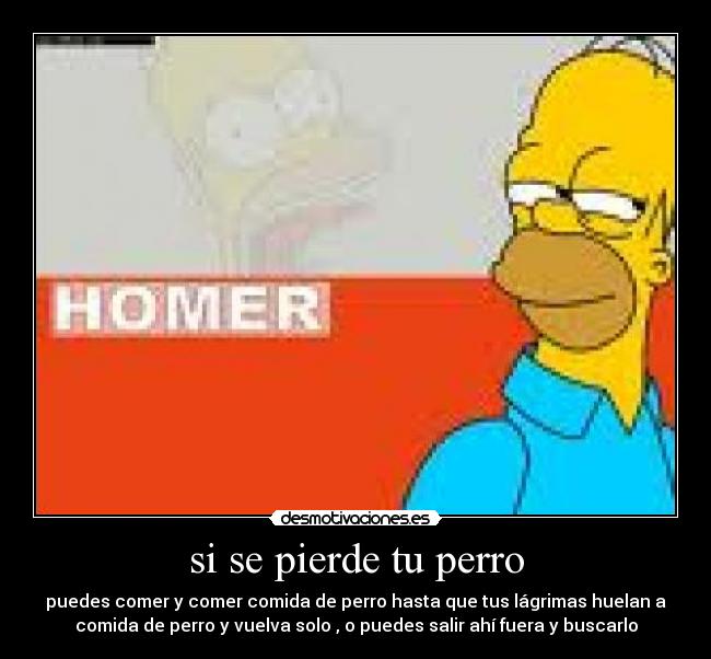 si se pierde tu perro -