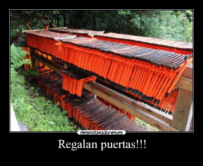Regalan puertas!!! - 